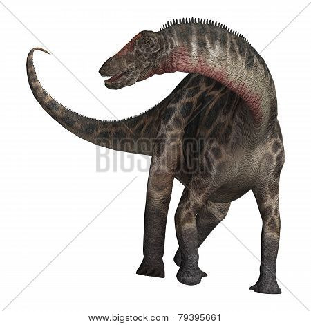 Dinosaur Dicraeosaurus