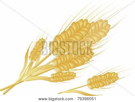 Golden Grain
