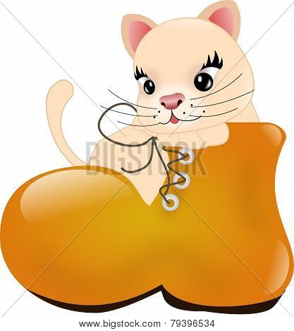 Cat In Shoe