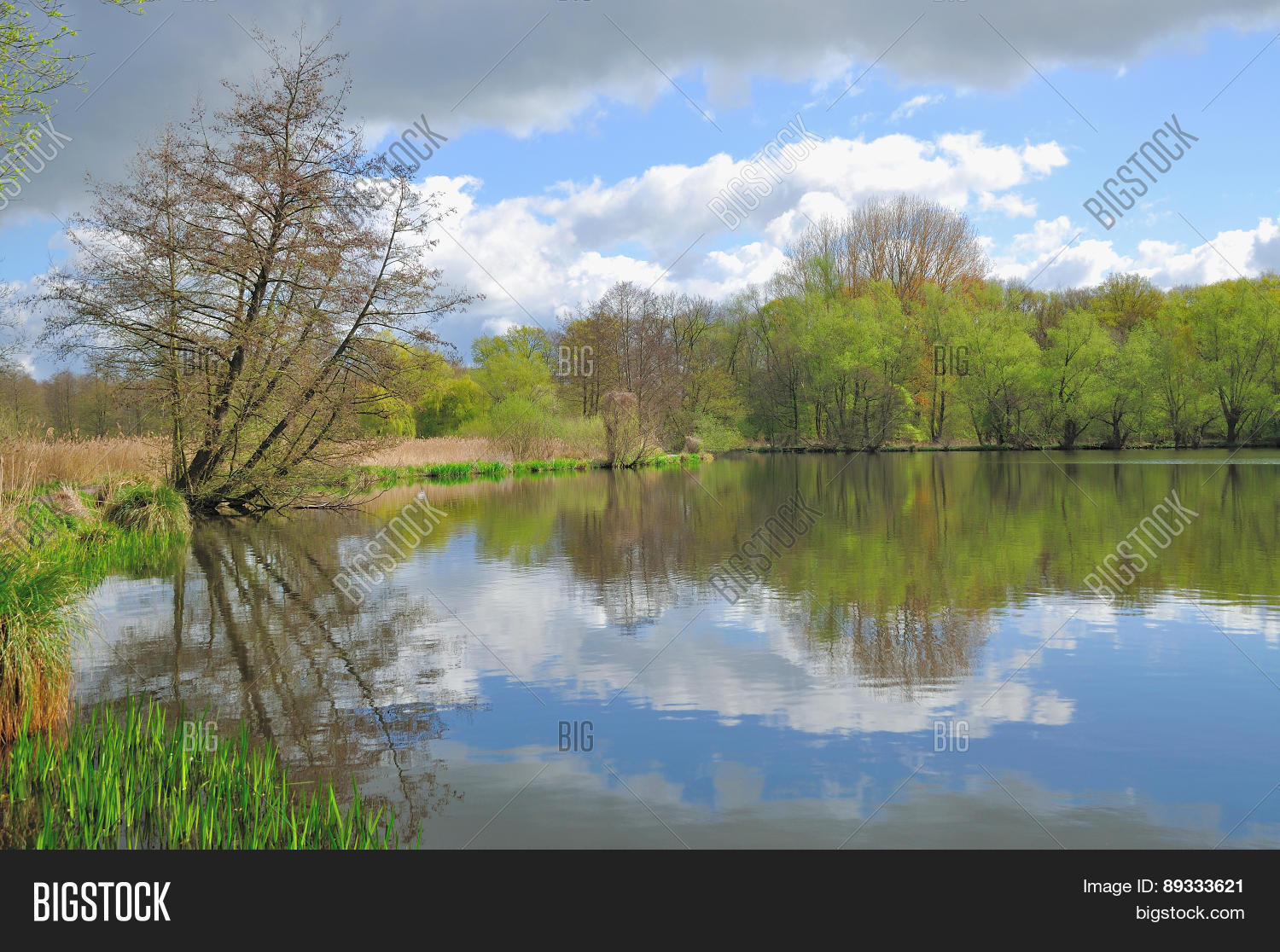 Lake Dewitt Near Image & Photo (Free Trial) Bigstock