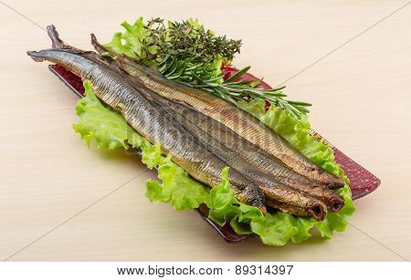 Lamprey