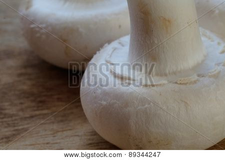 Fresh Mushrooms Champignon Burlap
