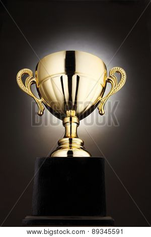 low angle of the trophy with light at the back