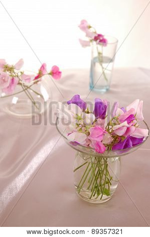 Sweet peas flower