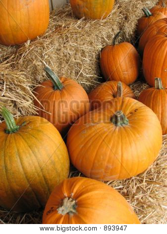 Pumpkinsb