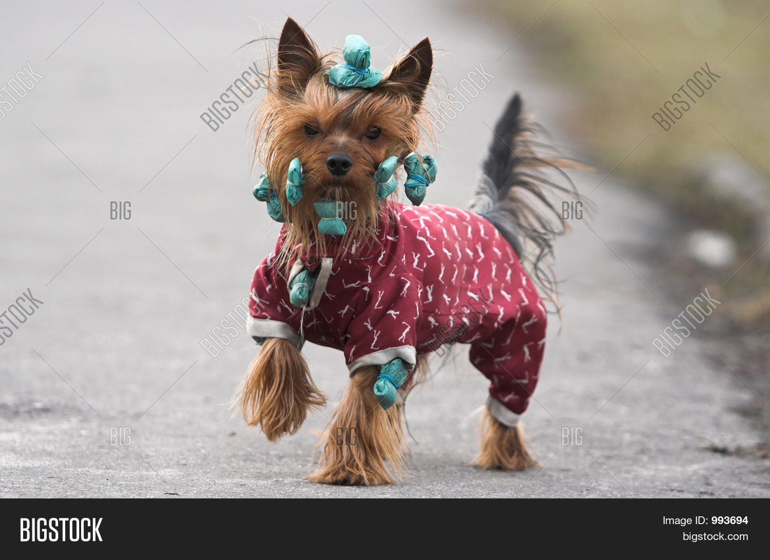 Image Preview