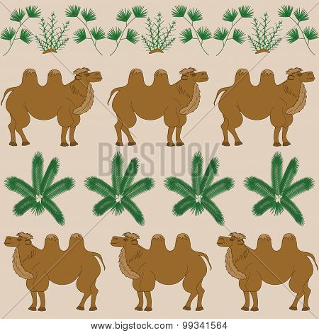 The favorite food of camel is the camel-thorn and other desert plants