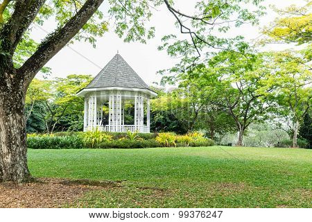 Singapore Botanical Garden Landscape