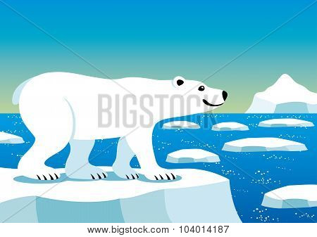 Polar bear.