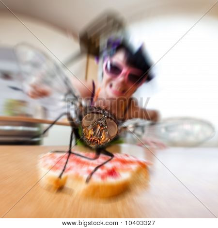 집 파리