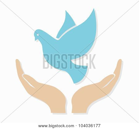 Vector dove in hand logo or icon