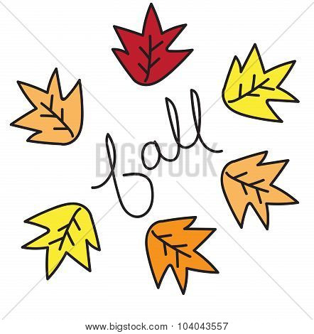 Fall Leaves