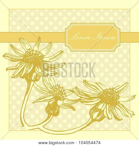 Vector banner with flowers and polka dot background