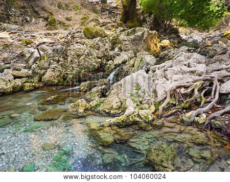 Seven Springs Rhodes
