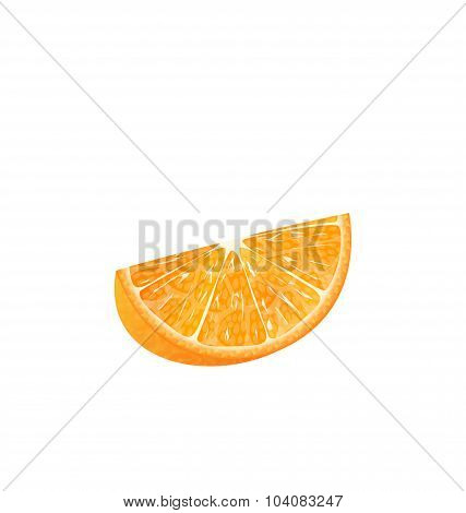 Orange Slice Isolated