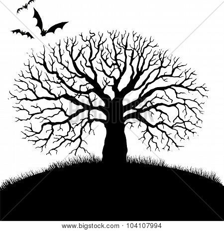 tree and bat silhouettes