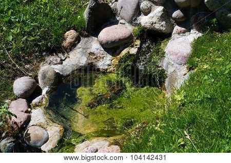 Artesian Spring