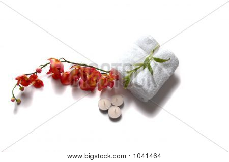Czerwona orchidea
