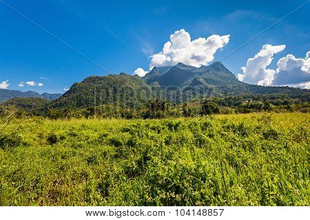 Doi Luang Chiang Dao