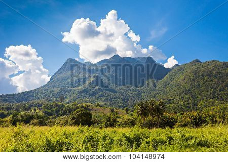 Doi Luang Chiang Dao