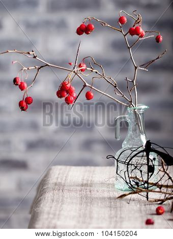 Halloween, gothic background. Hawthorn brunches.