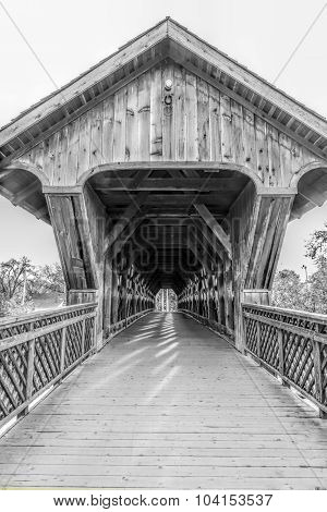 Monochrome Bridge