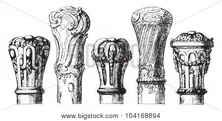 Apples canes eighteenth century, vintage engraved illustration. Industrial encyclopedia E.-O. Lami - 1875.