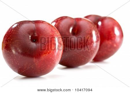 Prugne