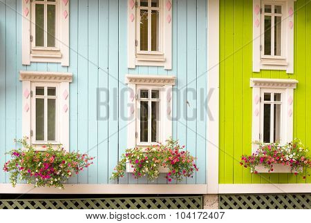 Flowers in the window