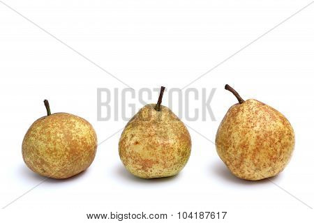 Pears