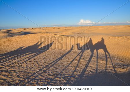 Shadow of caravan on the desert sand