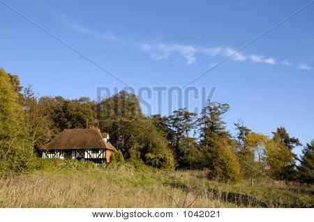 Tudor House
