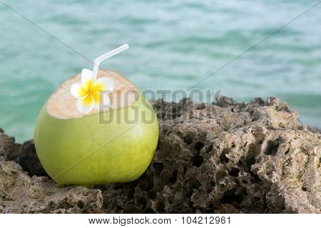 Tropical Coconut Refreshment