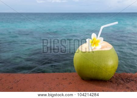 Tropical Coconut Refreshment