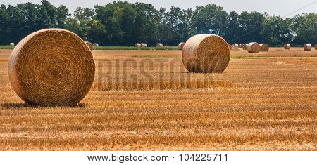 Hay Bales In The Fields