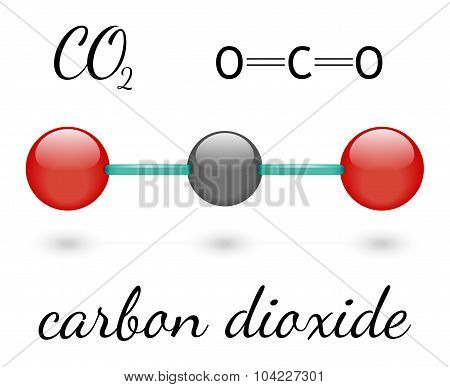 CO2 molecule