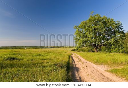 Maaseudun maisema