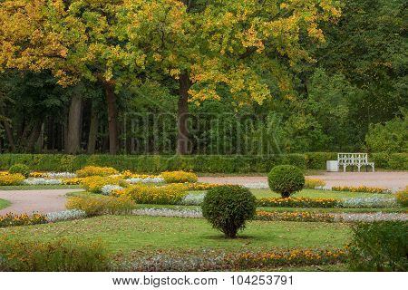 Autumn in the park