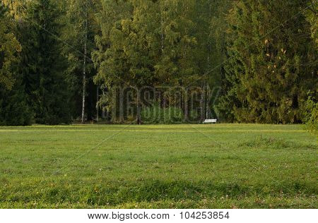 Autumn in the park