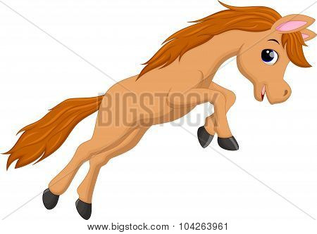 Cute horse cartoon