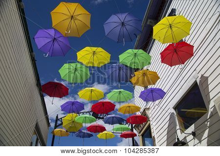 Colorful Umbrellas Suspended In Alleyway