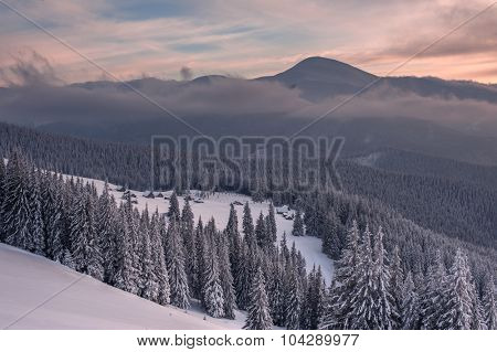 Fantastic orange evening landscape glowing by sunlight. Dramatic wintry scene with snowy trees. Kukul ridge, Carpathians, Ukraine, Europe. Merry Christmas!