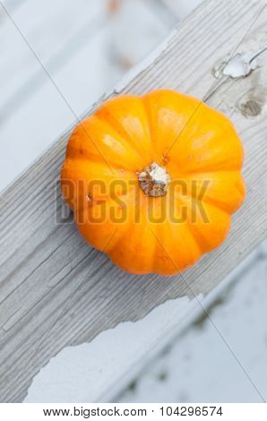 autumn Halloween pumpkin on the child's hand