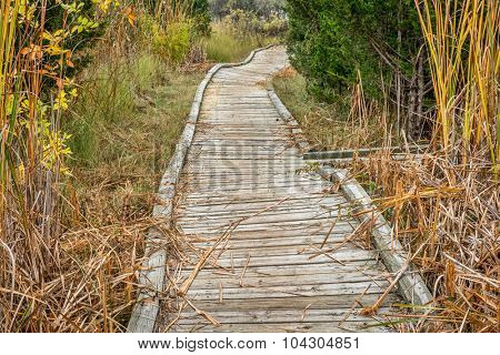 winding nature trail - wooden boardwalk path through wetlands in a fall scenery - a journey metaphor