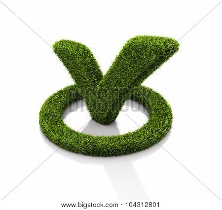 Green Grassed Check Mark Symbol In The Circle On White Background
