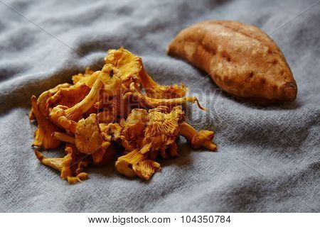 Sweet Potato With Bunch Of Chanterelles Mushrooms Side View