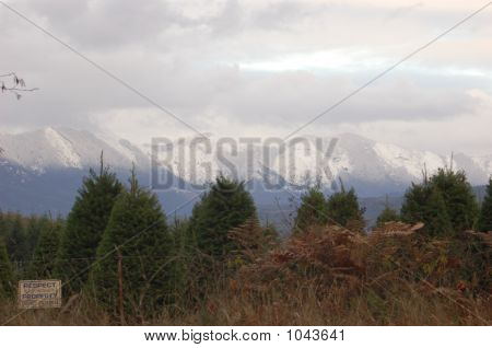 Schneegrenze auf Berg