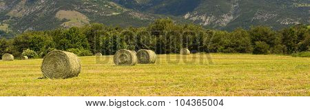 Landscape In Haute Provence