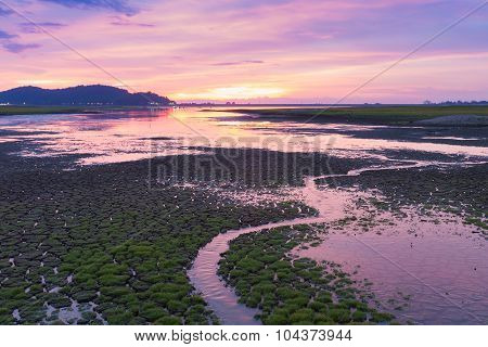 Beautiful sky and reflection over early brith grass folding land