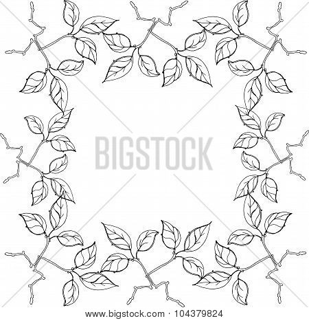 Vector hand drawing black and white leaves or floral frame - for scrapbooking, Save the date card, p